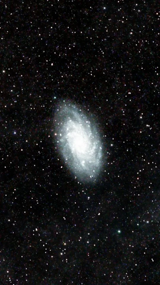 Triangulum Galaxy (M33)