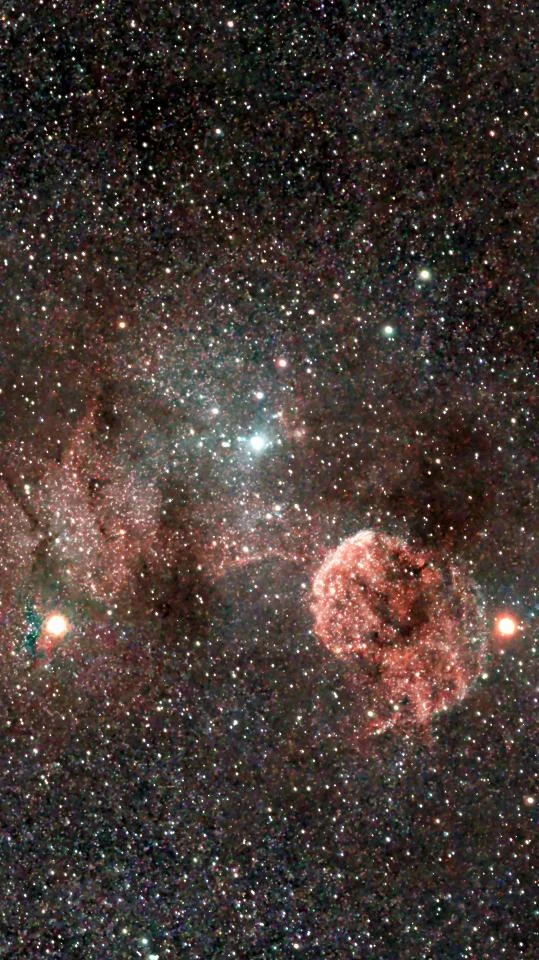 Jellyfish Nebula (IC443)
