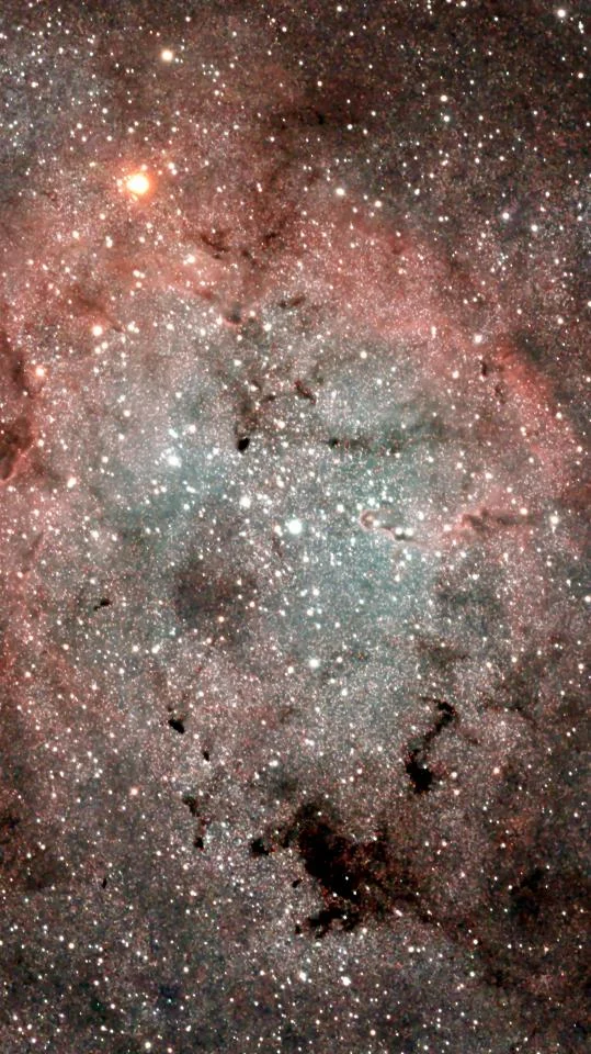 Elephant Trunk Nebula (IC1396)