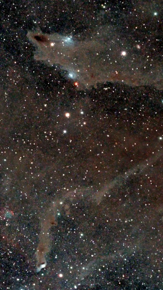 Lynds Dark Nebula 1235 (LDN1235)