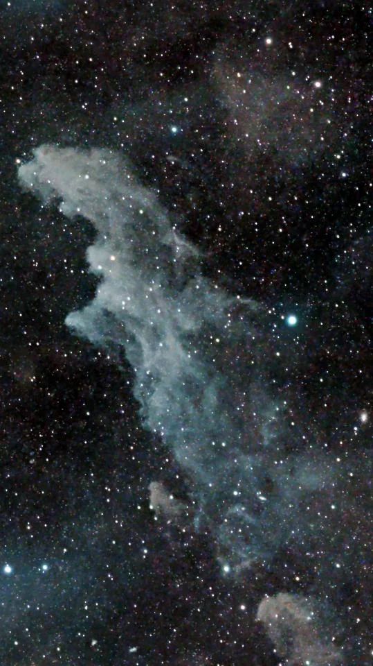 Witch Head nebula (VDB36)