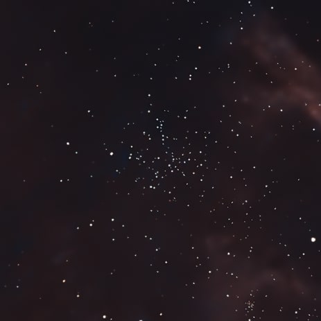 Starfish Cluster preview