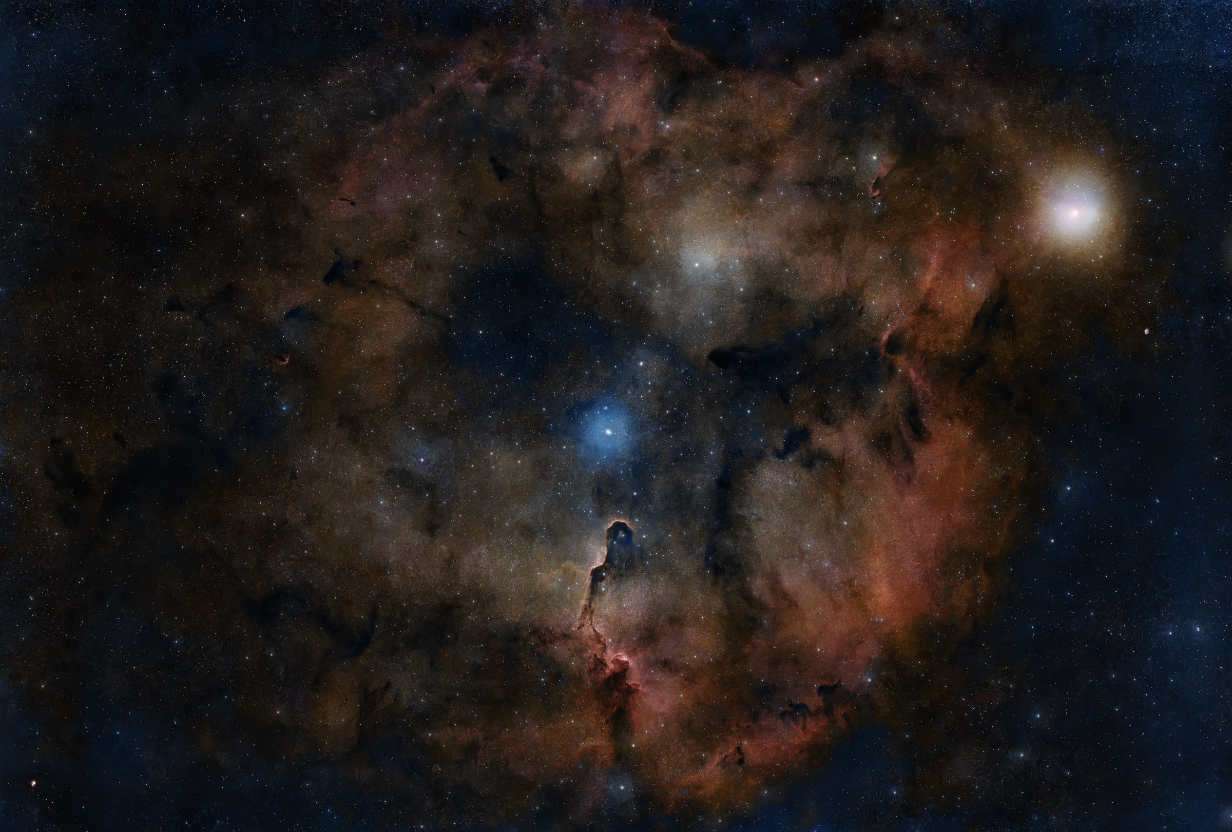 Elephant's Trunk Nebula survey selection