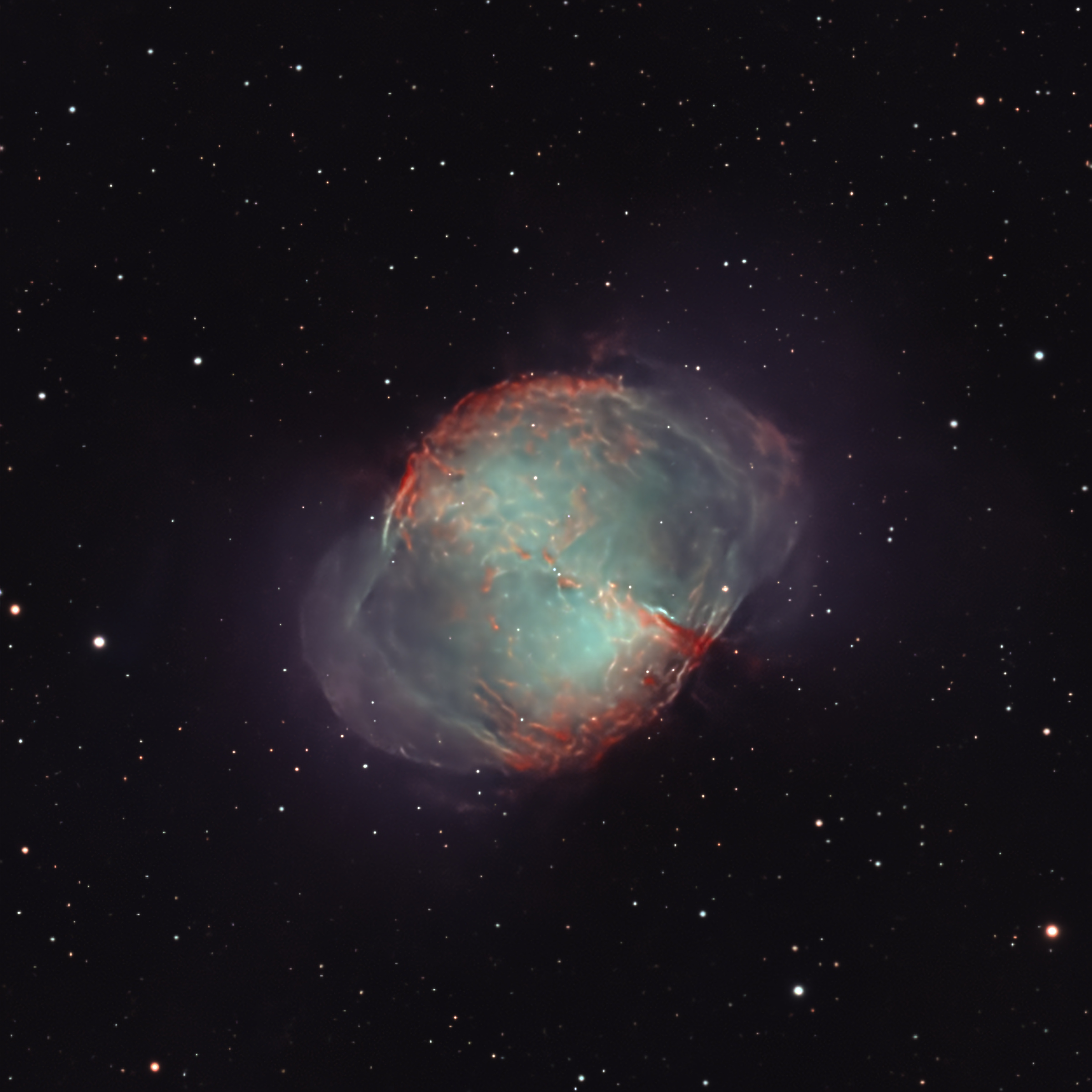 Dumbbell Nebula survey selection
