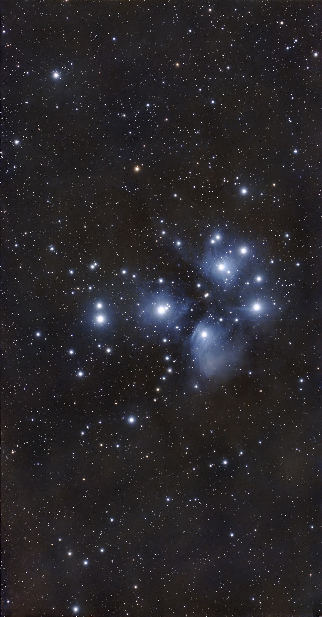 M45 · Pleiades survey selection