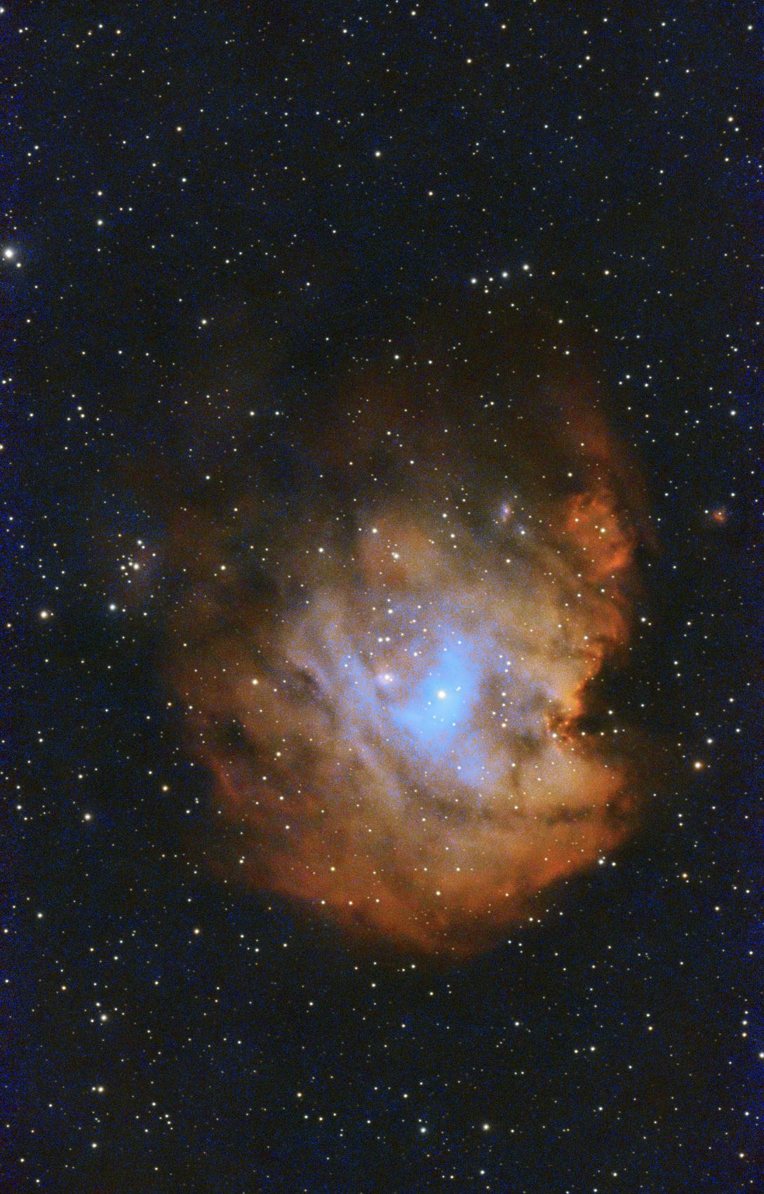 NGC 2174 · Monkey Head Nebula survey selection
