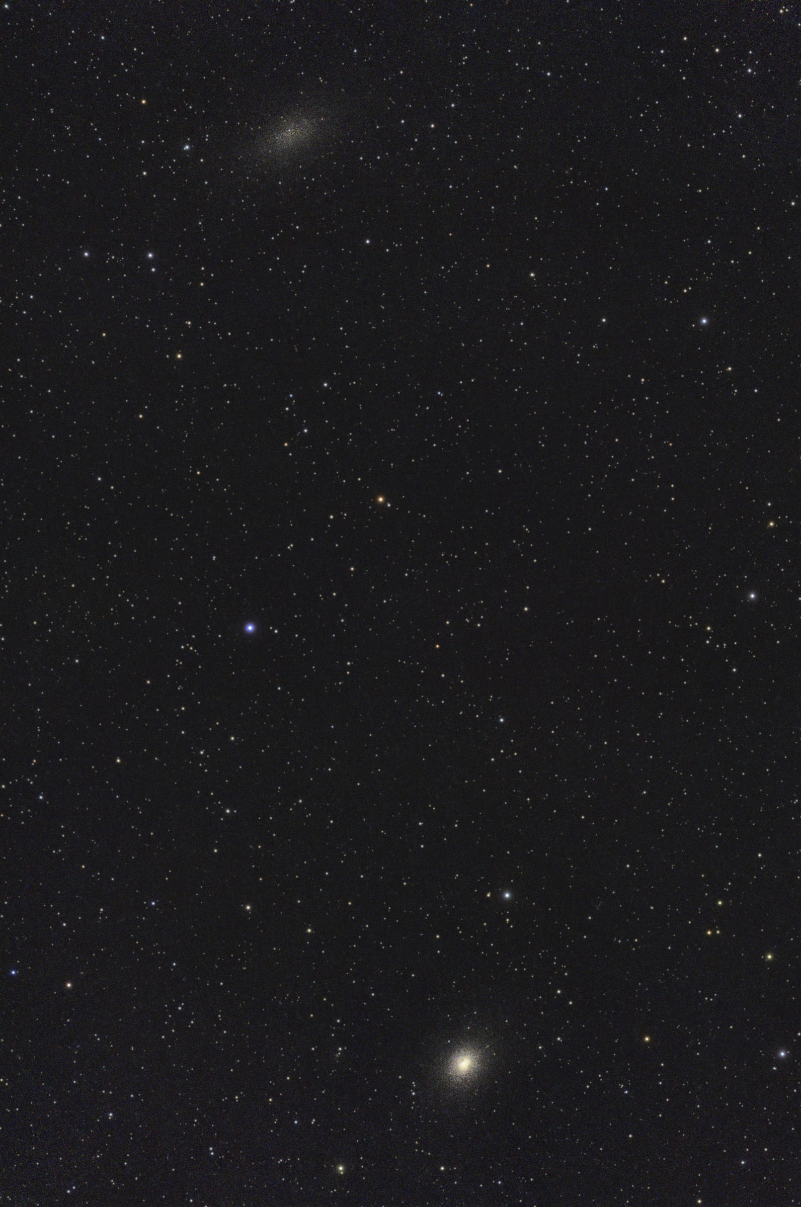 NGC 147 + NGC 185 survey selection