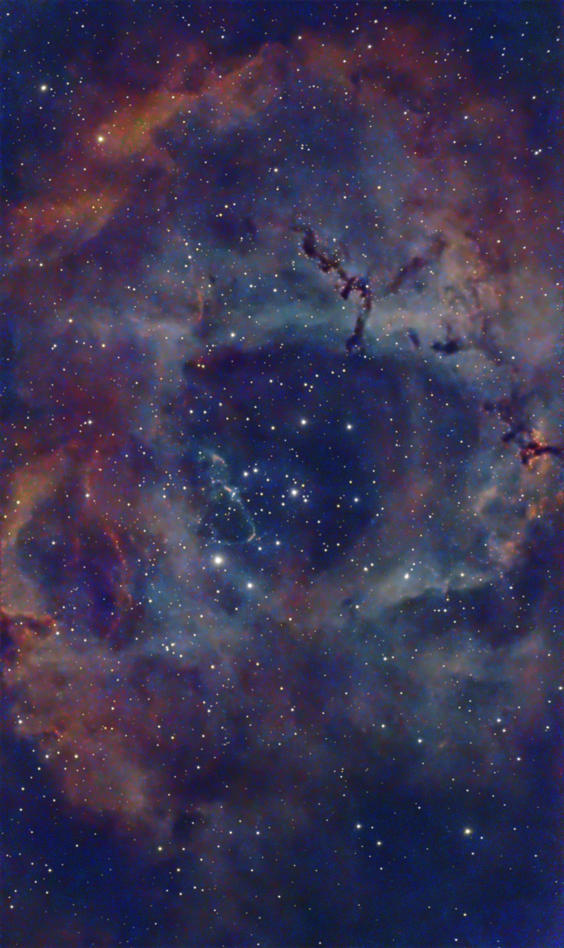 NGC 2237 · Rosette Nebula survey selection