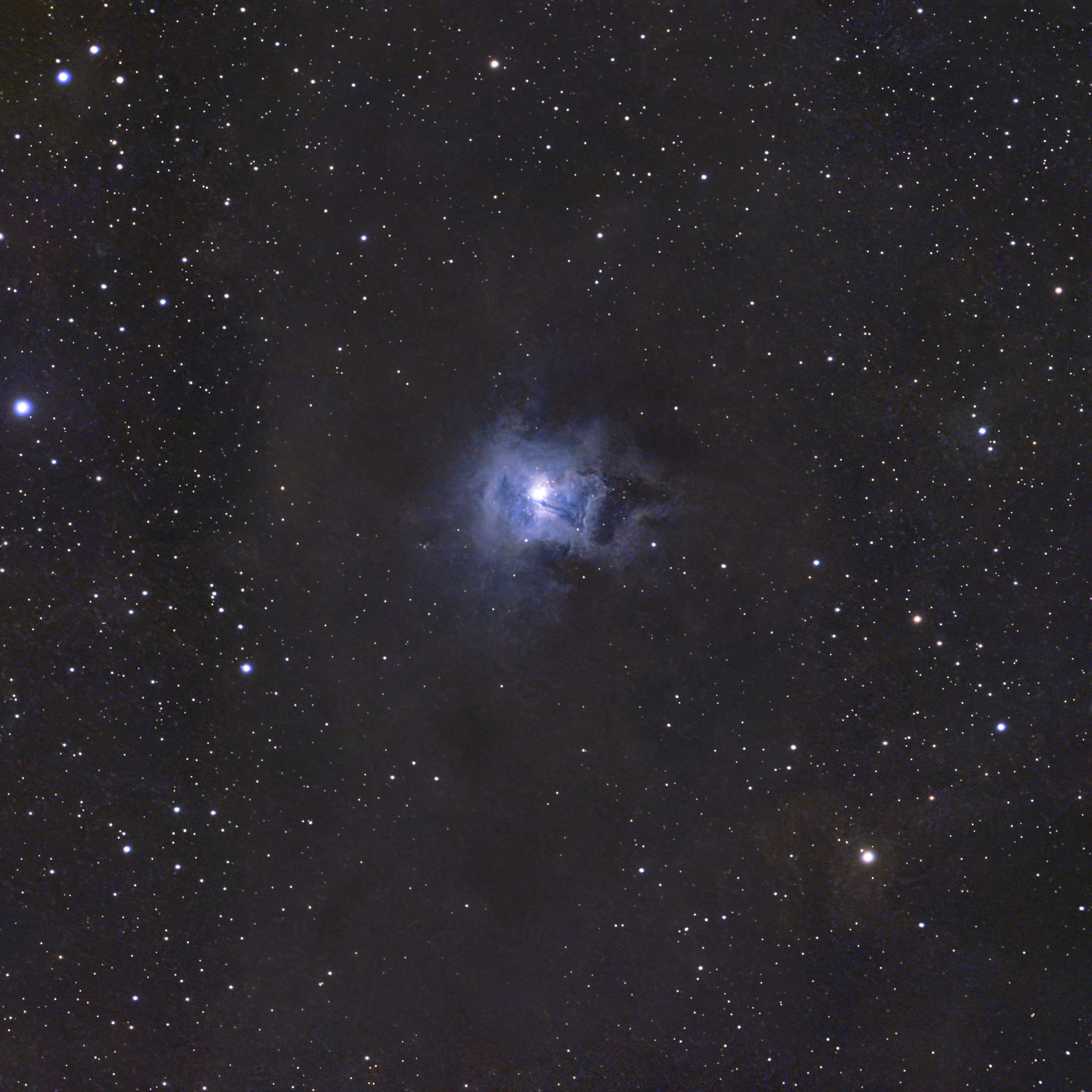 NGC 7023 · Iris Nebula survey selection