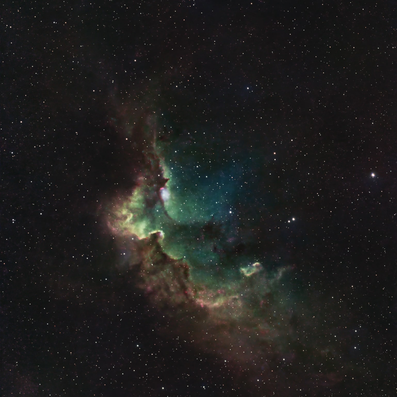 Wizard Nebula survey selection