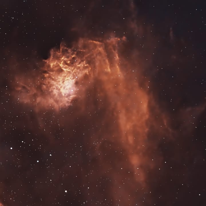 Flaming Star detail crop preview