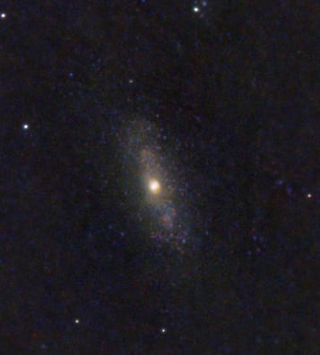 M90 detail crop preview