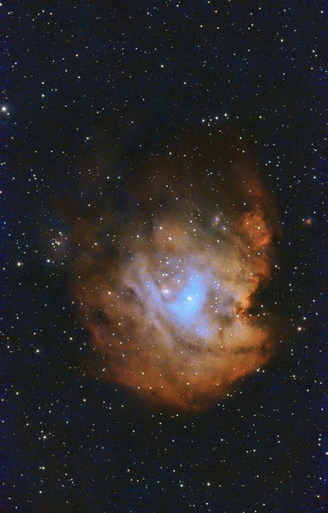 Monkey Head Nebula preview